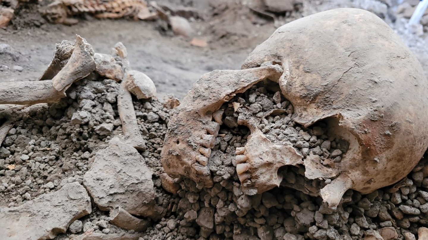 The skull of a victim of the explosion of earthquakes that accompanied the explosion of Mount Vesuvius in 79 ce.
