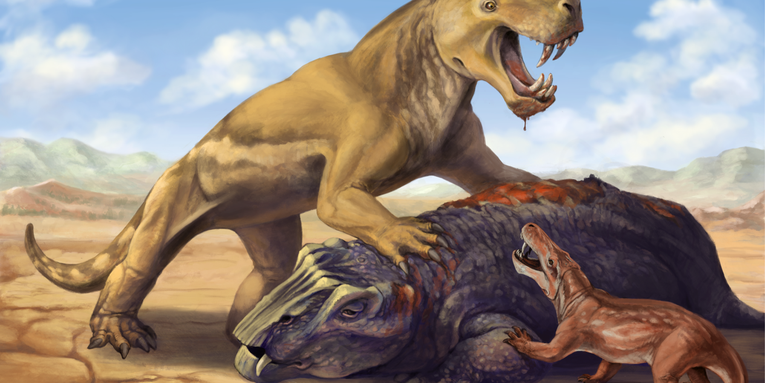 This tiger-sized, saber-toothed, rhino-skinned predator thrived before the ‘Great Dying’