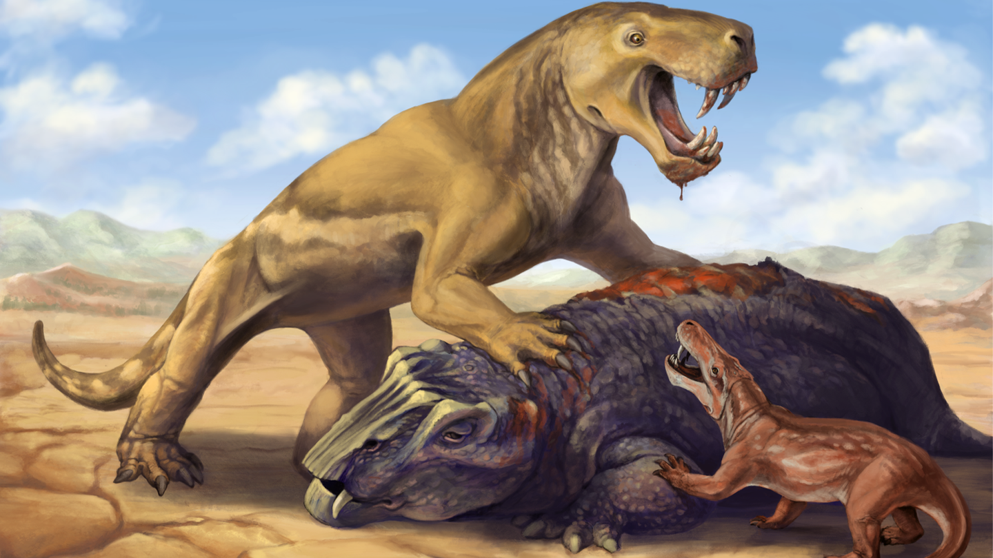 An artist’s illustration of the giant gorgonopsian Inostrancevia with its dicynodont prey, scaring off the much smaller African species Cyonosaurus.