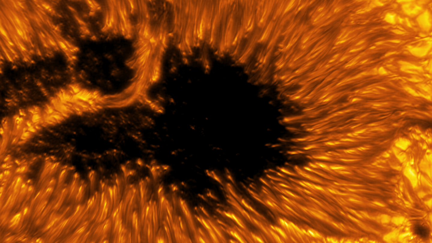 A detailed example of a light bridge crossing a sunspot’s umbra. Hot solar material (plasma) rises in the bright centers of these surrounding “cells,” cools off, and then sinks below the surface in dark lanes in a process known as convection.