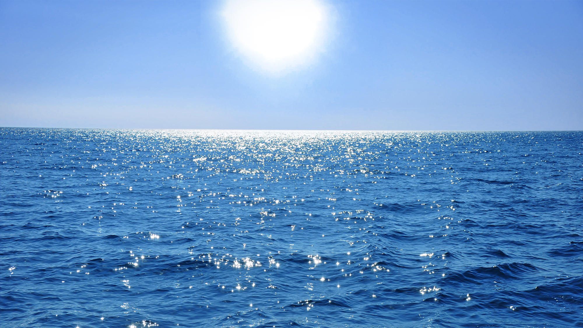 The sun over the ocean. Over 5,000 species could be at risk if deep sea mining begins in the Pacific Ocean's Clarion-Clipperton Zone.