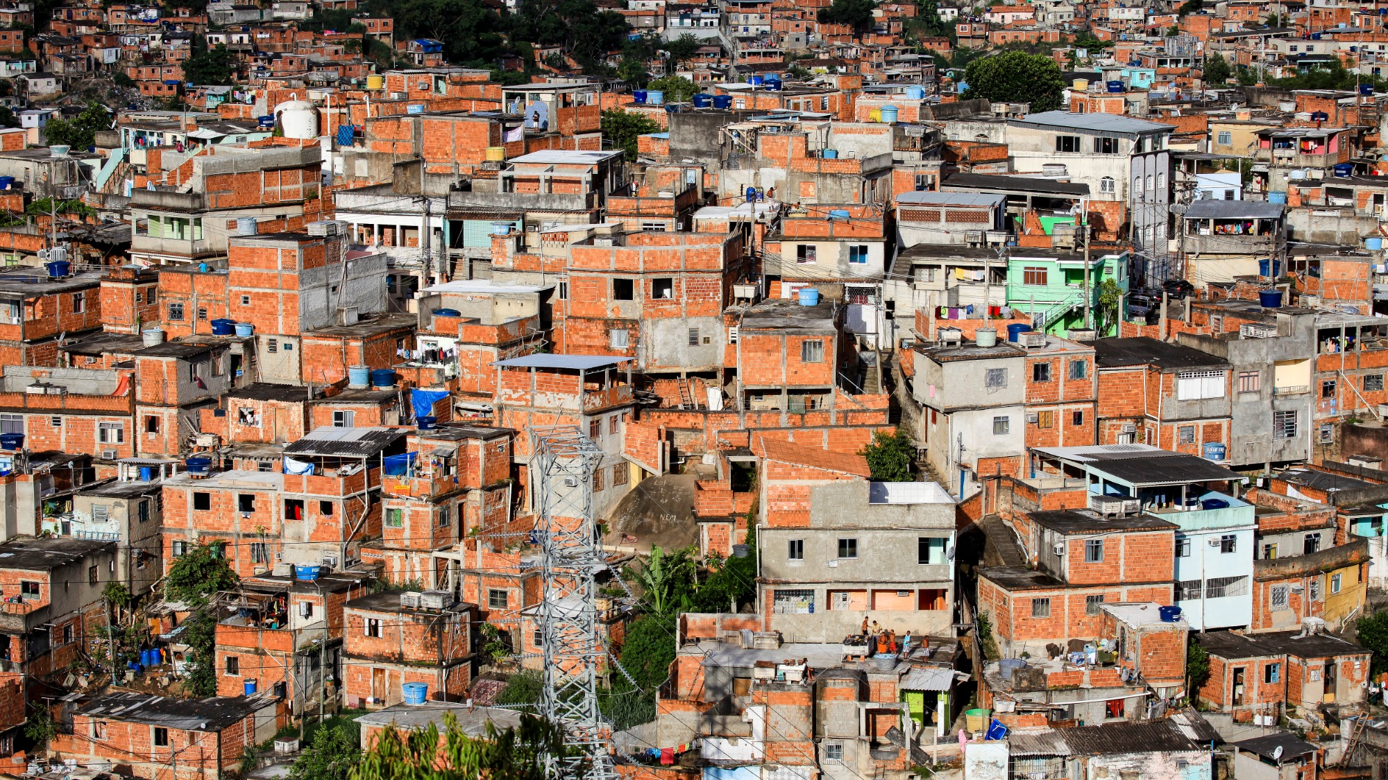 Plant-covered roofs could help chill Brazil’s heat-stricken favelas
