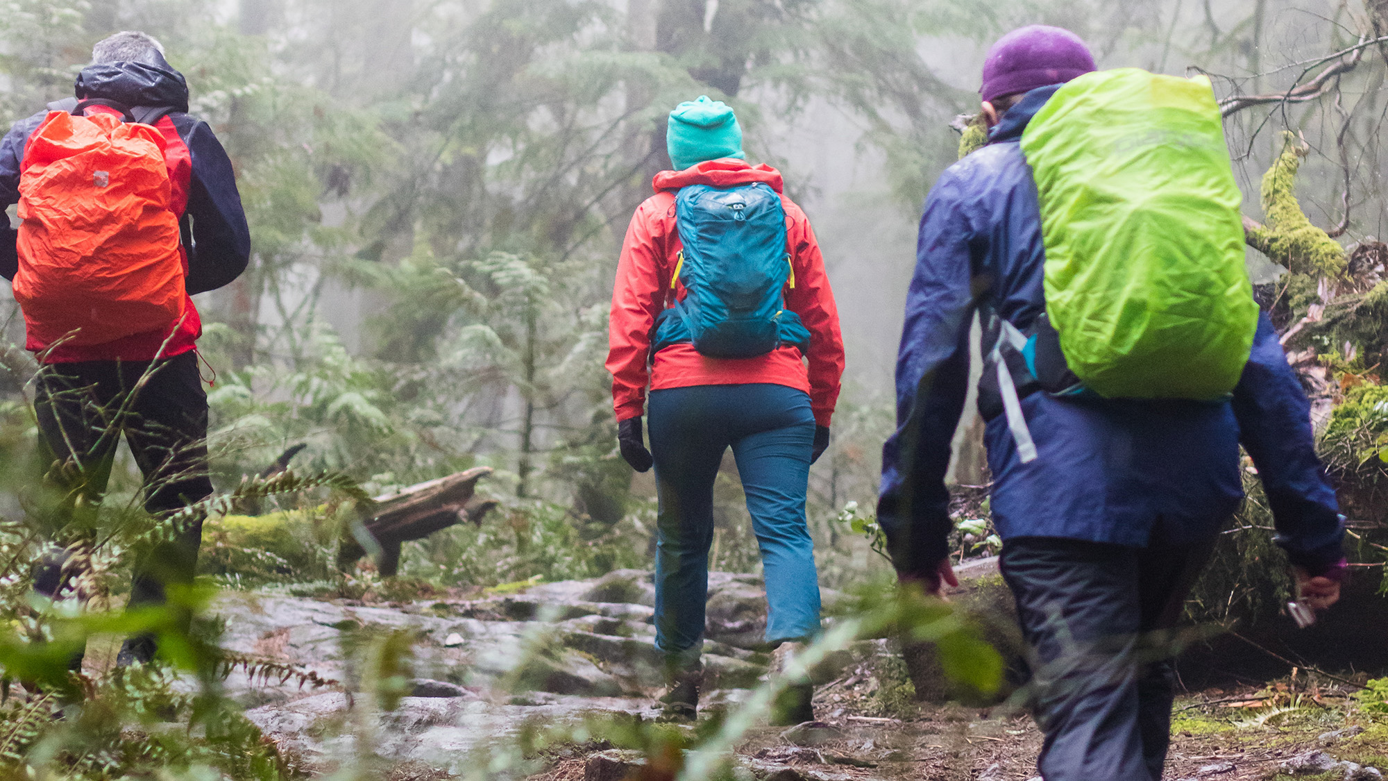 Three people hiking in the rain wearing raincoats.