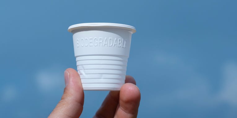 A popular ‘compostable’ bioplastic isn’t as biodegradable as it seems
