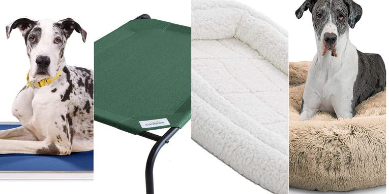 The best dog beds for large dogs in 2024