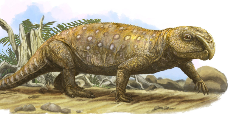 This ancient reptile had a deadly vegetarian diet