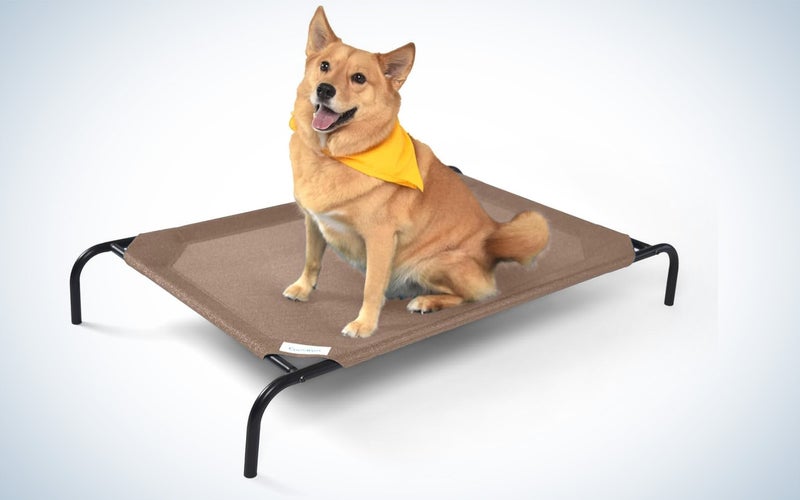 Coolaroo elevated dog bed