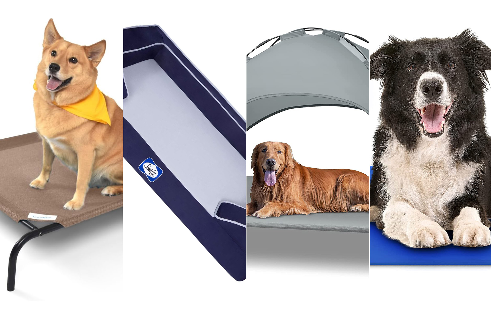 The best cooling dog beds composited
