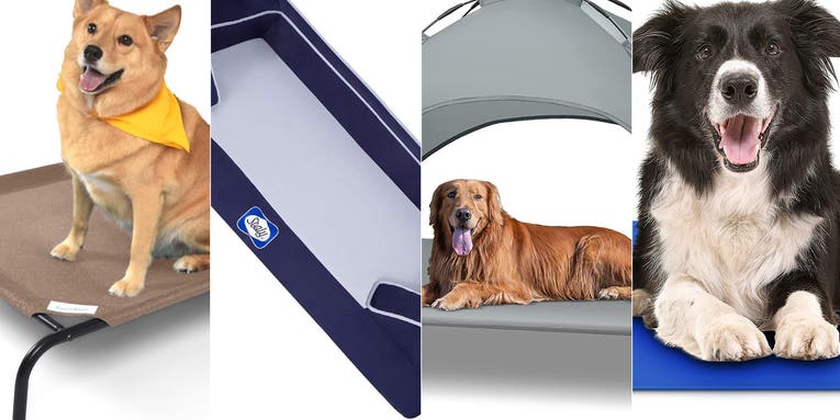 The best cooling dog beds for 2023