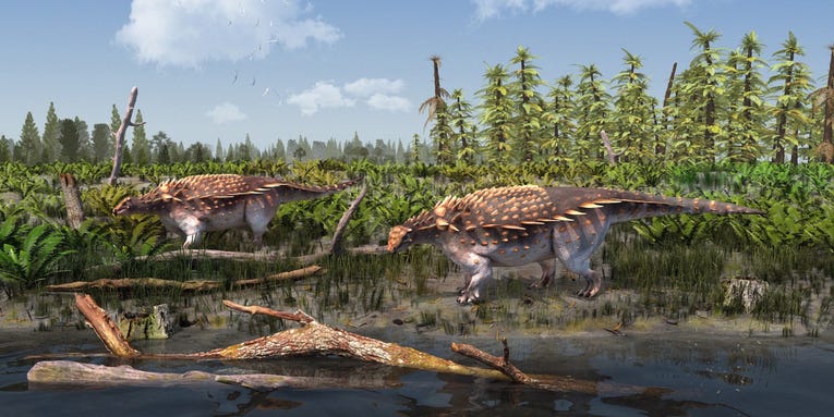 This extremely metal Cretaceous dinosaur grew blade-like armor