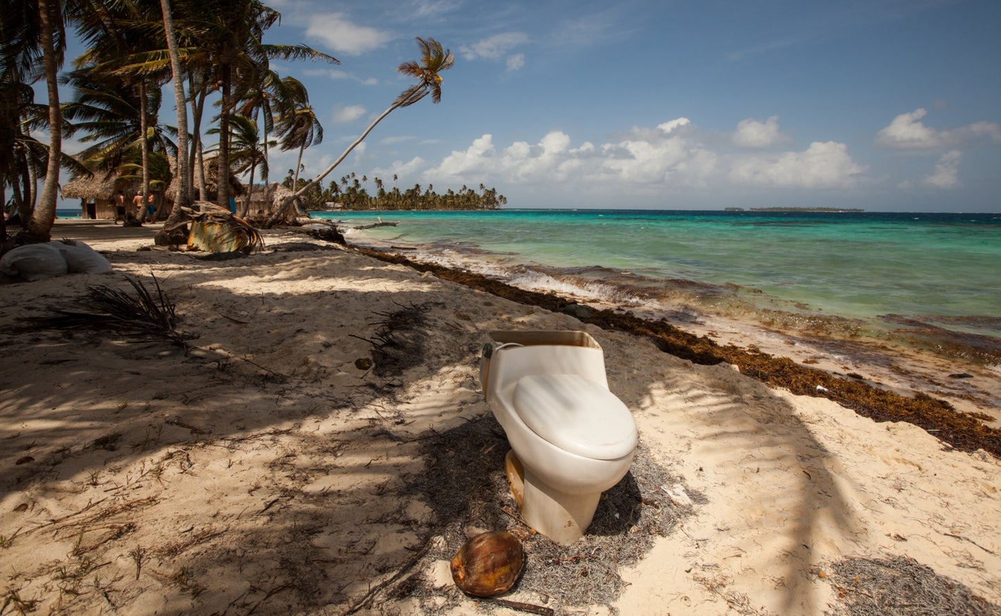 Toilet on palm tree-filled beach