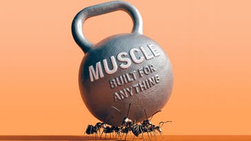 Start your summer off strong with PopSci’s latest muscular issue