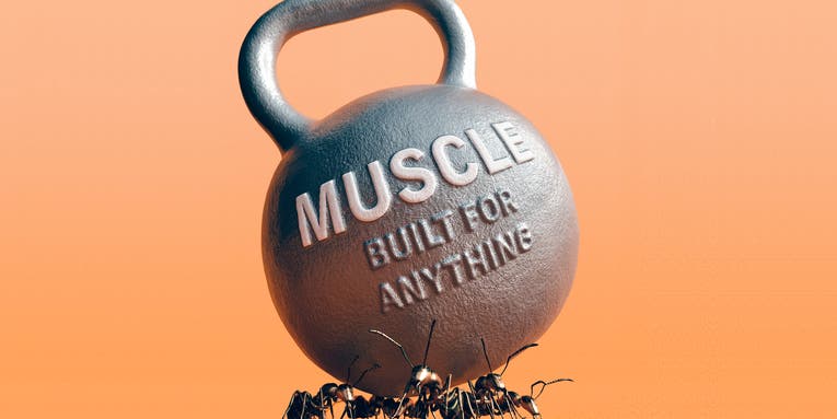 Start your summer off strong with PopSci’s latest muscular issue