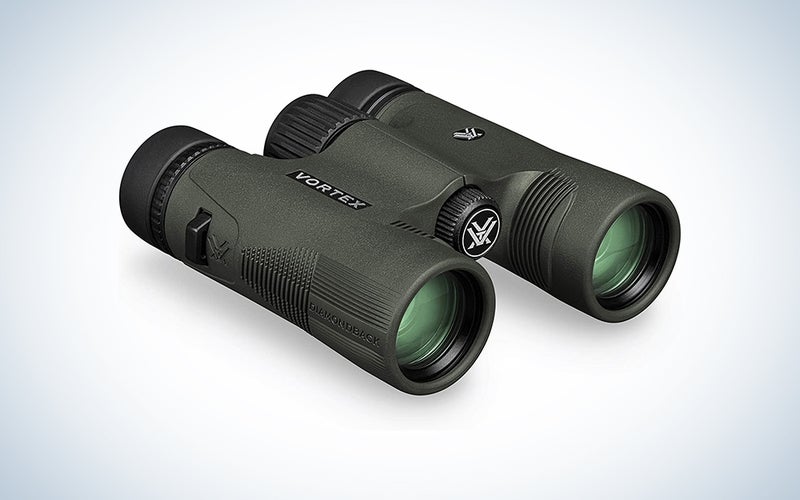 Black Vortex Optics Diamondback best overall binoculars for hiking on a blank background