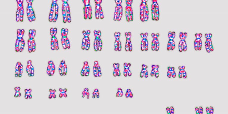 Men lose Y chromosomes with age, and it might increase their risk of bladder cancer