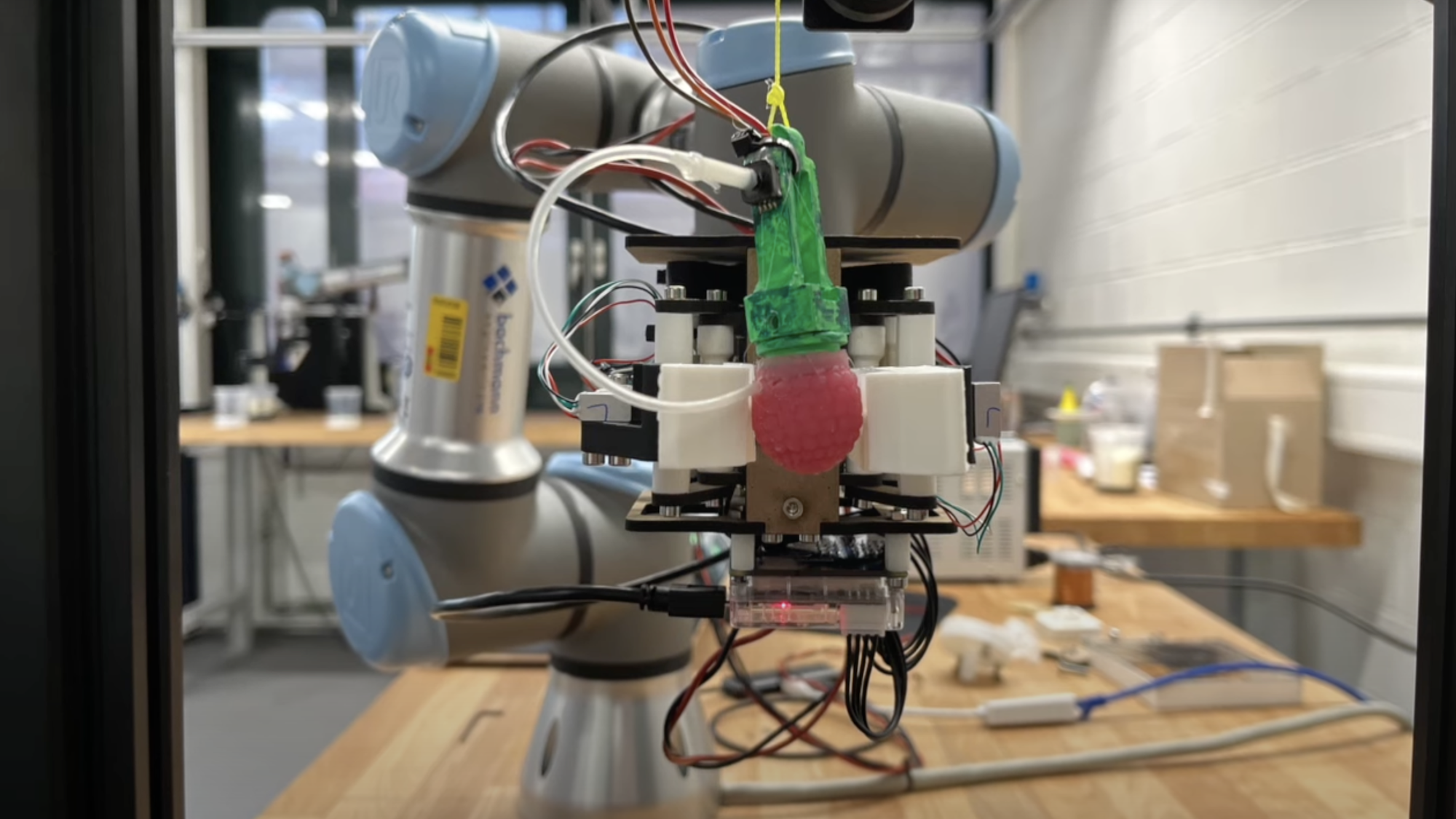 fake raspberry for testing robot pickers