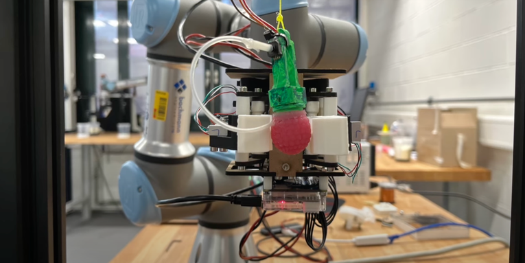 This robot used a fake raspberry to practice picking fruit
