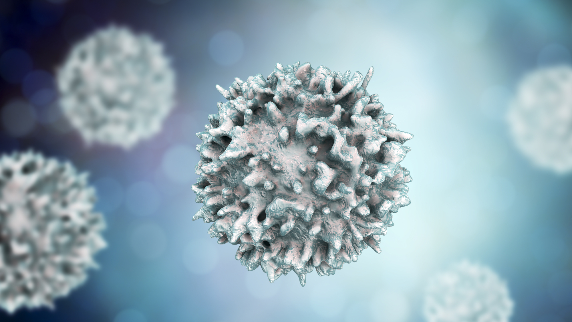 Lymphocyte, 3D illustration. Closeup view of T-cell.