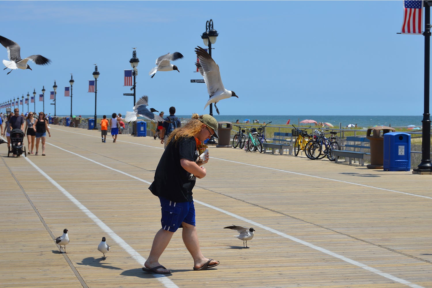 person crosses boardwalk while being followed and harassed by seagulls