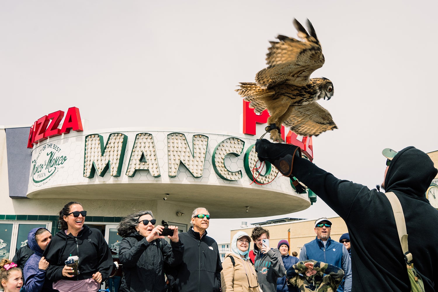 Breaking News eagle-owl on handler's glove spreads wings as onlookers rob photography cease to pizza restaurant