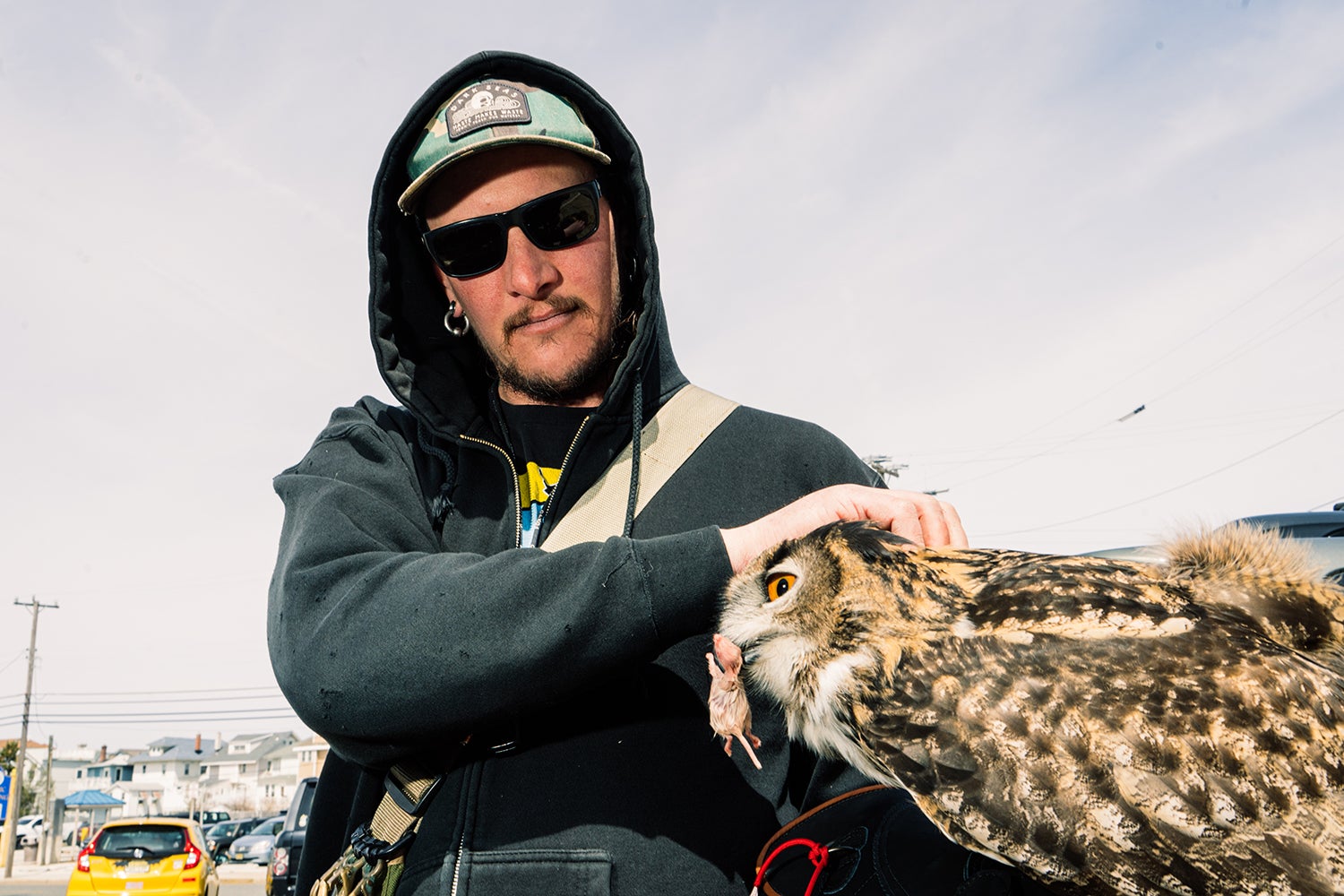falcon handler feeds mouse to eagle-owl