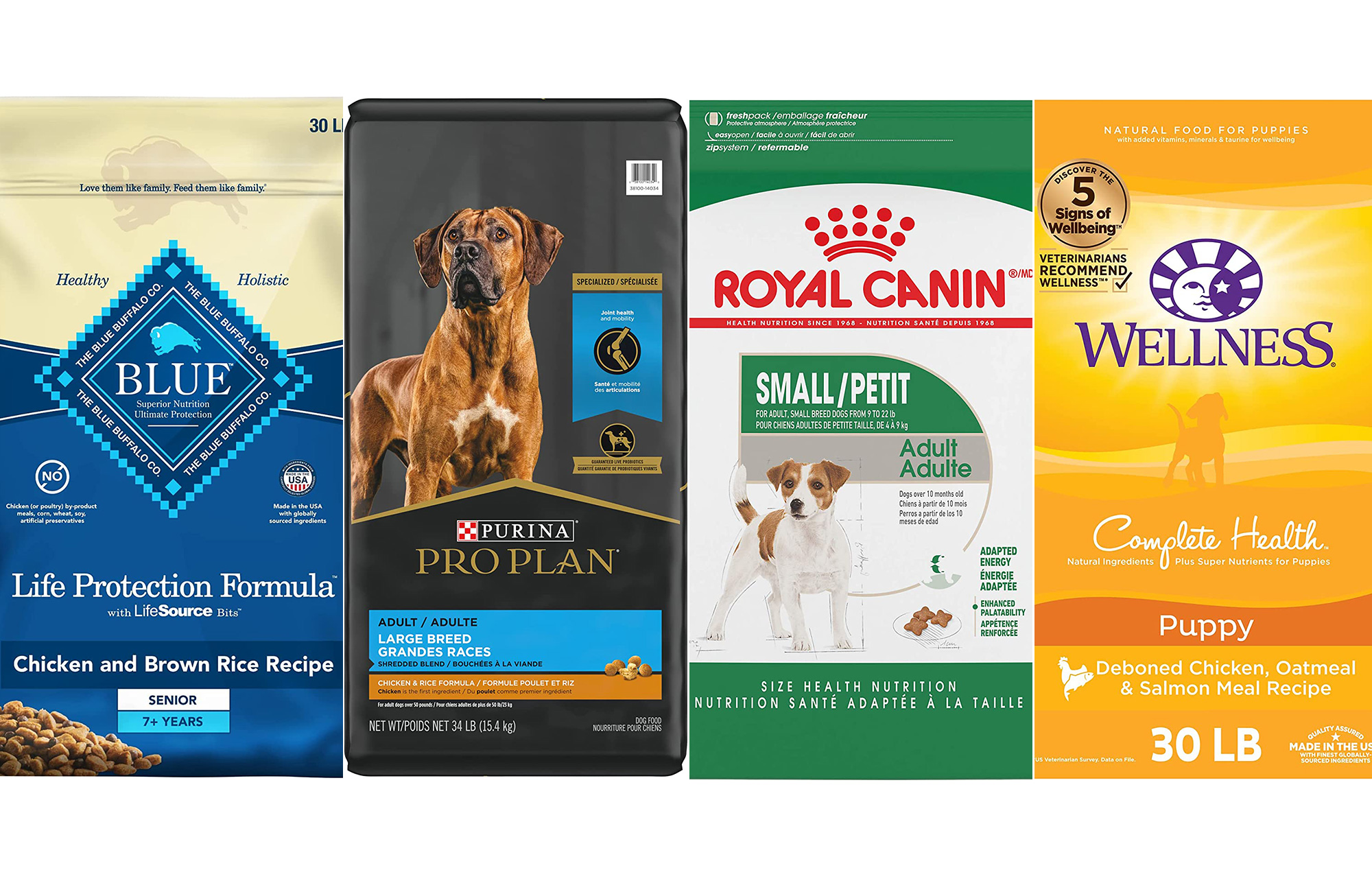 The best dog food for 2023