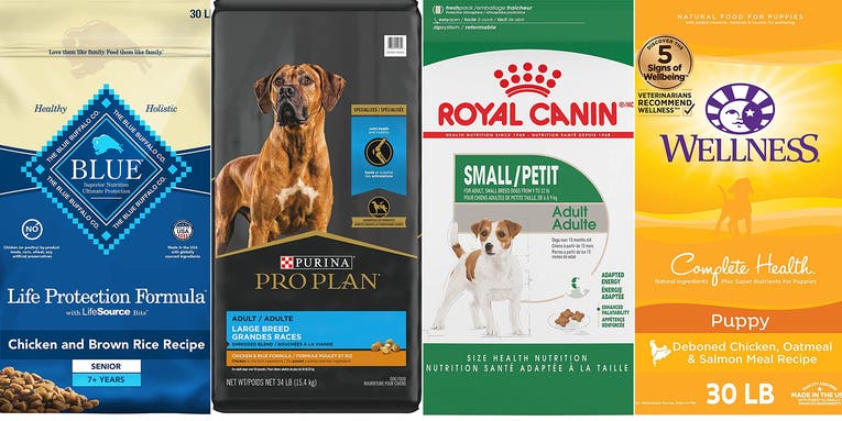 The best dog food for 2023