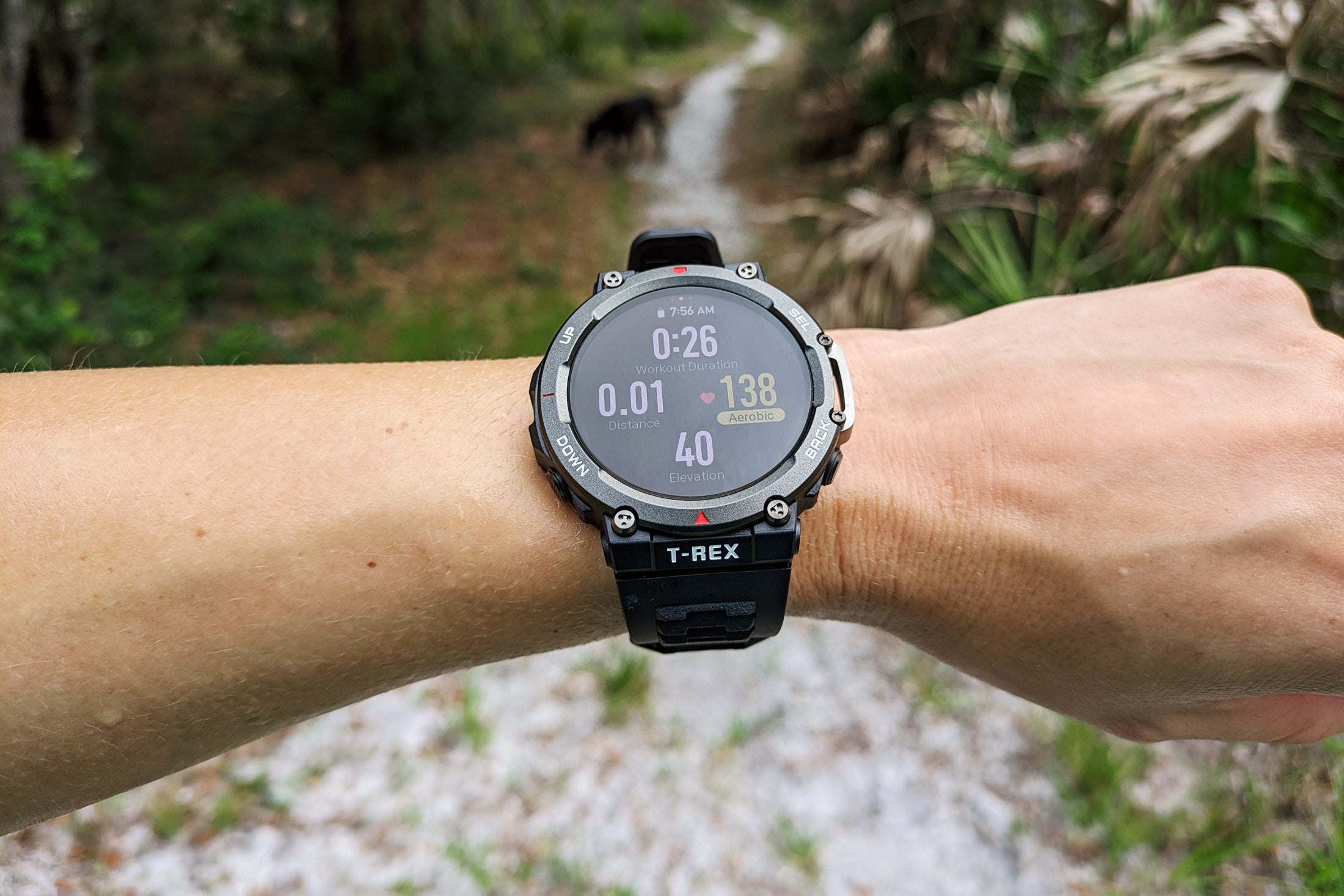 Amazfit T-Rex 2 hiking watch on a wrist in front of a trail through the woods