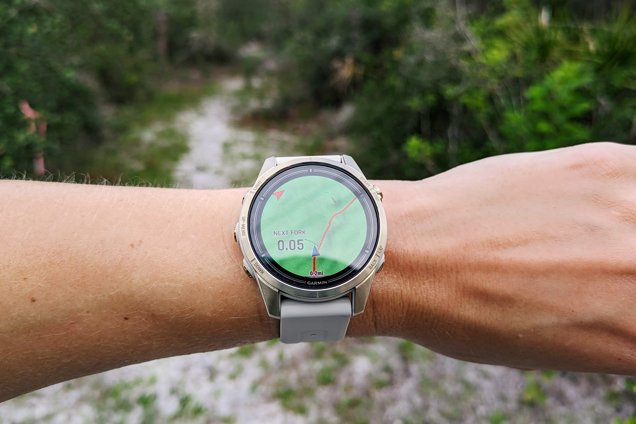 Garmin epix 2 Pro on a wrist in front of a trail through a forest