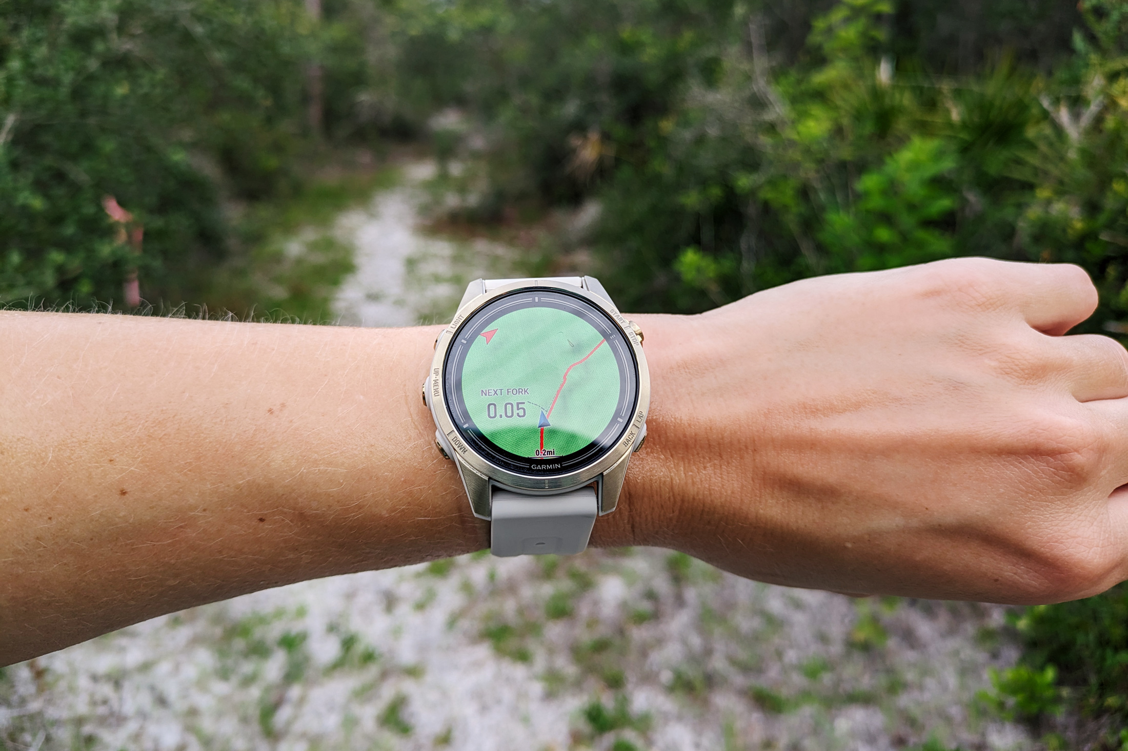 Garmin epix 2 Pro on a wrist in front of a trail through a forest