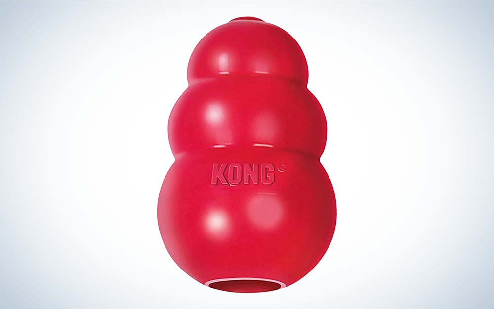 Kong makes some of the best interactive dog toys.