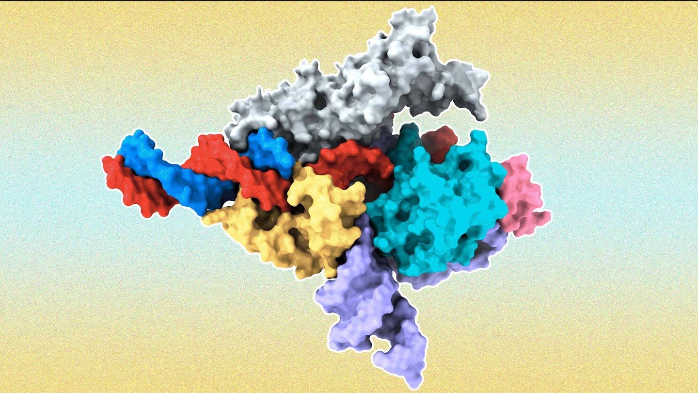 A Cryo-EM map of a Fanzor protein indicated by gray, yellow, light blue, and pink in complex with ωRNA indicated in purple and its target DNA in red. Non-target DNA strand in blue.