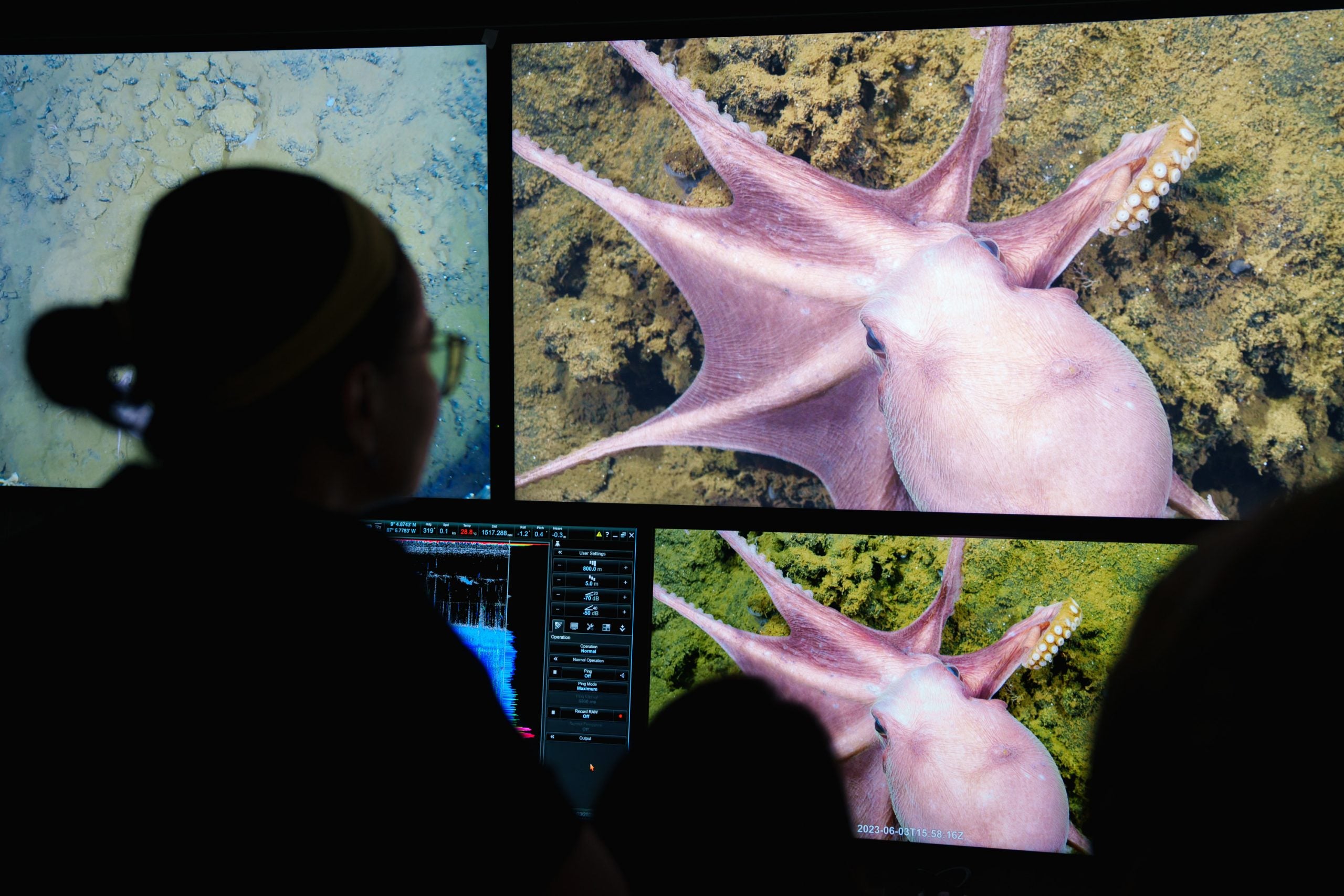 Scientists exploring the octopus nursery in the Dorado Outcrop