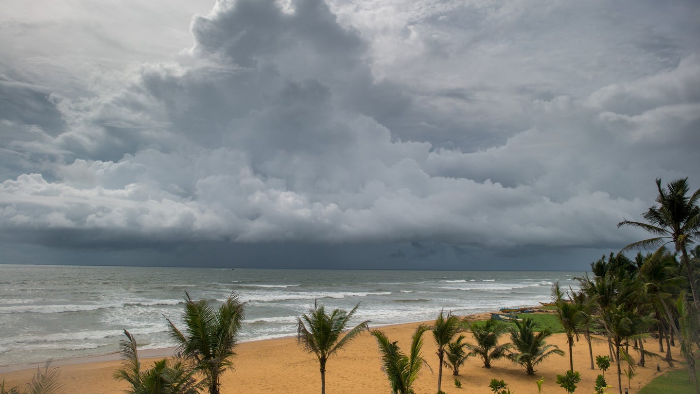 A gray storm cloud approaches green palm trees and a sandy shore.