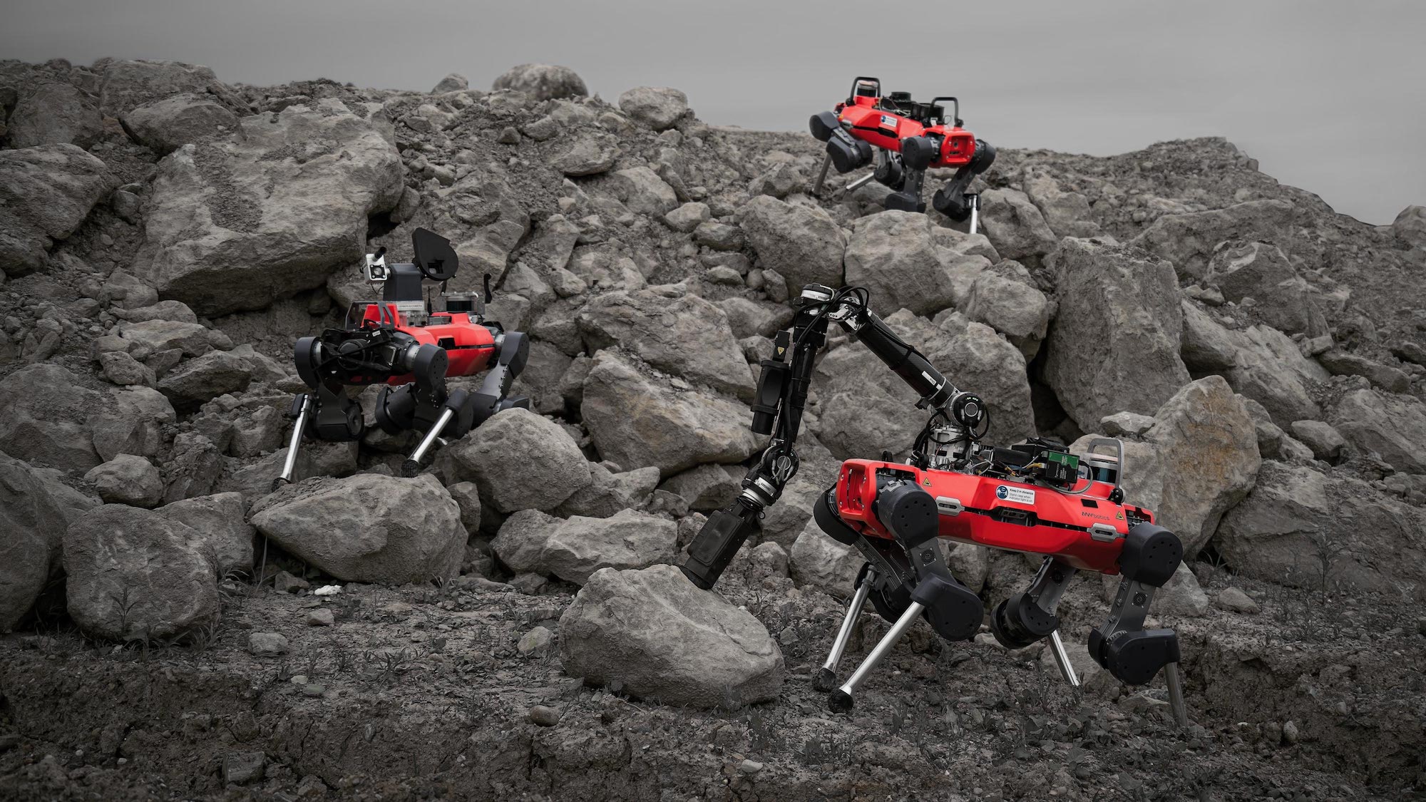 Three quadruped robots standing on rocky terrain