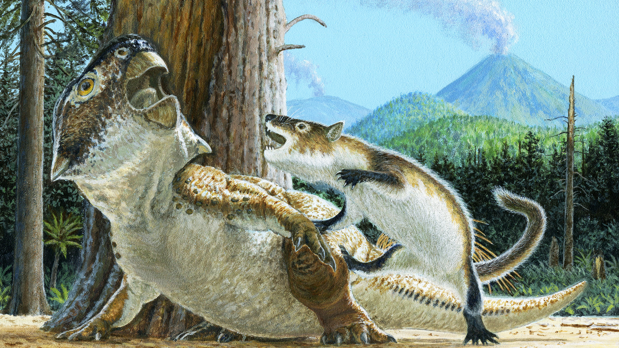 This badger-like mammal may have died while trying to eat a dinosaur