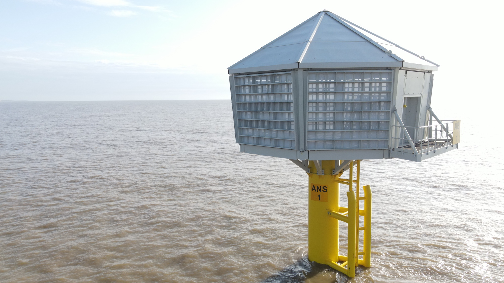 Artificial nests could give endangered birds a home near new offshore wind farm