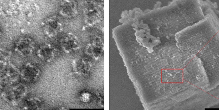 These super strong nanostructures are made of glass-coated DNA