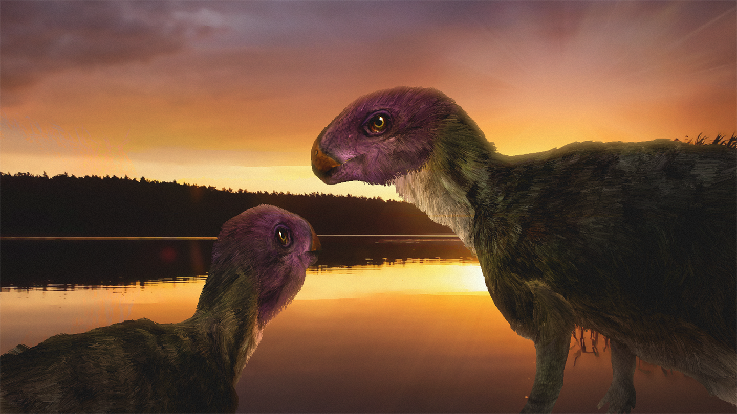 Two Minimocursors stand by a body of water as the sun rises. Minimocursor was an herbivore that was likely widespread across eastern Asia.