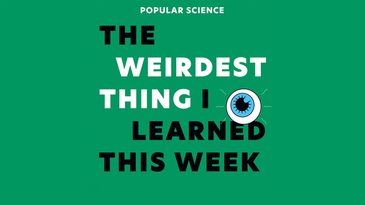 Live from New York: ‘The Weirdest Thing’ podcast (in person!)