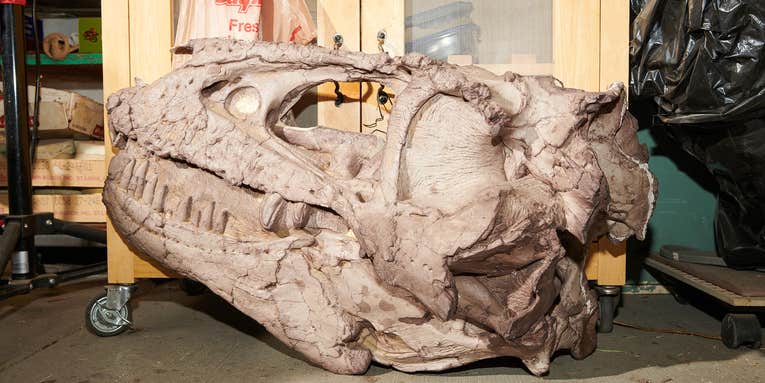 Museums are filled with fake dinosaur fossils. See what it takes to make those replicas.