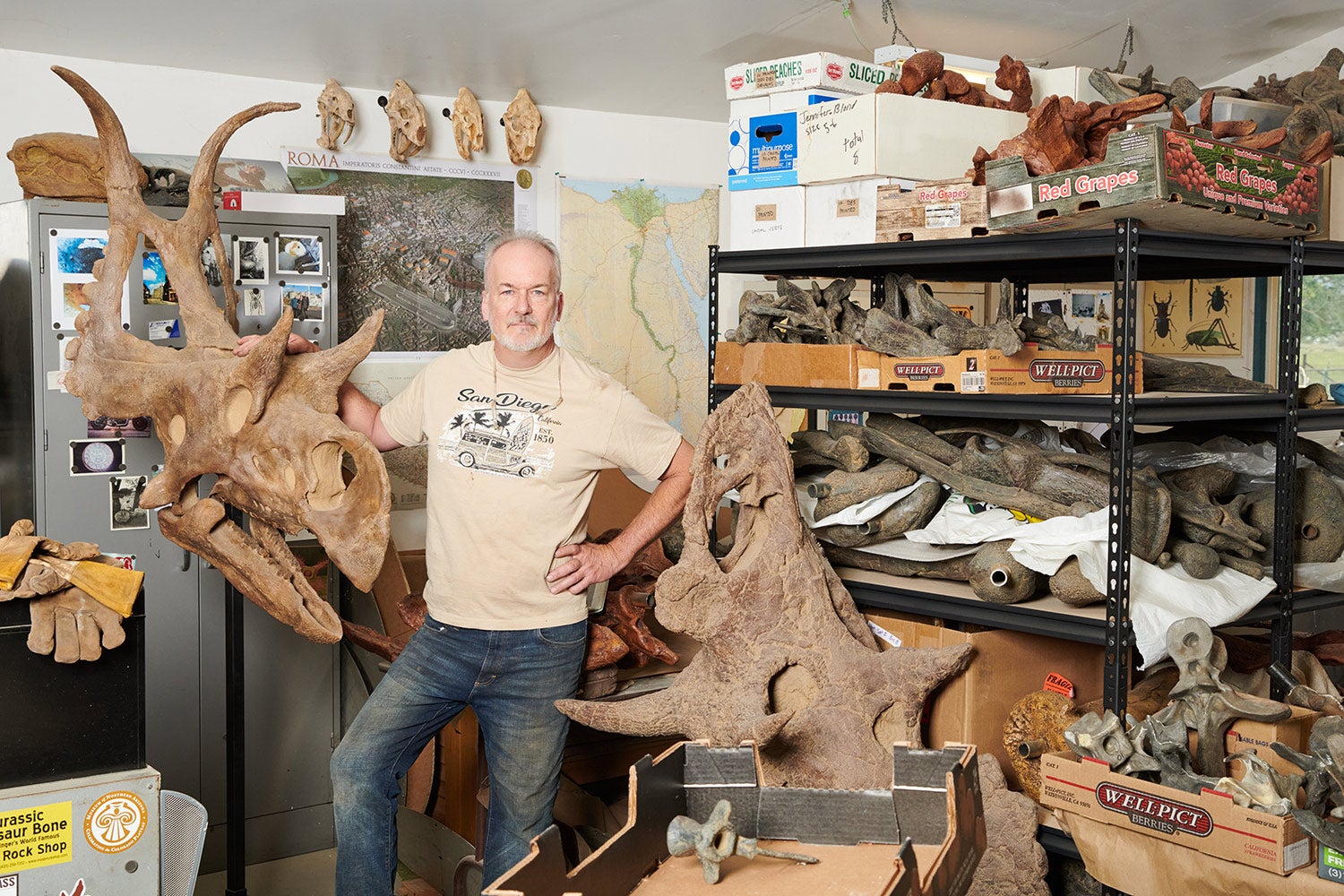 artist poses with fossil replicas and parts in storage area