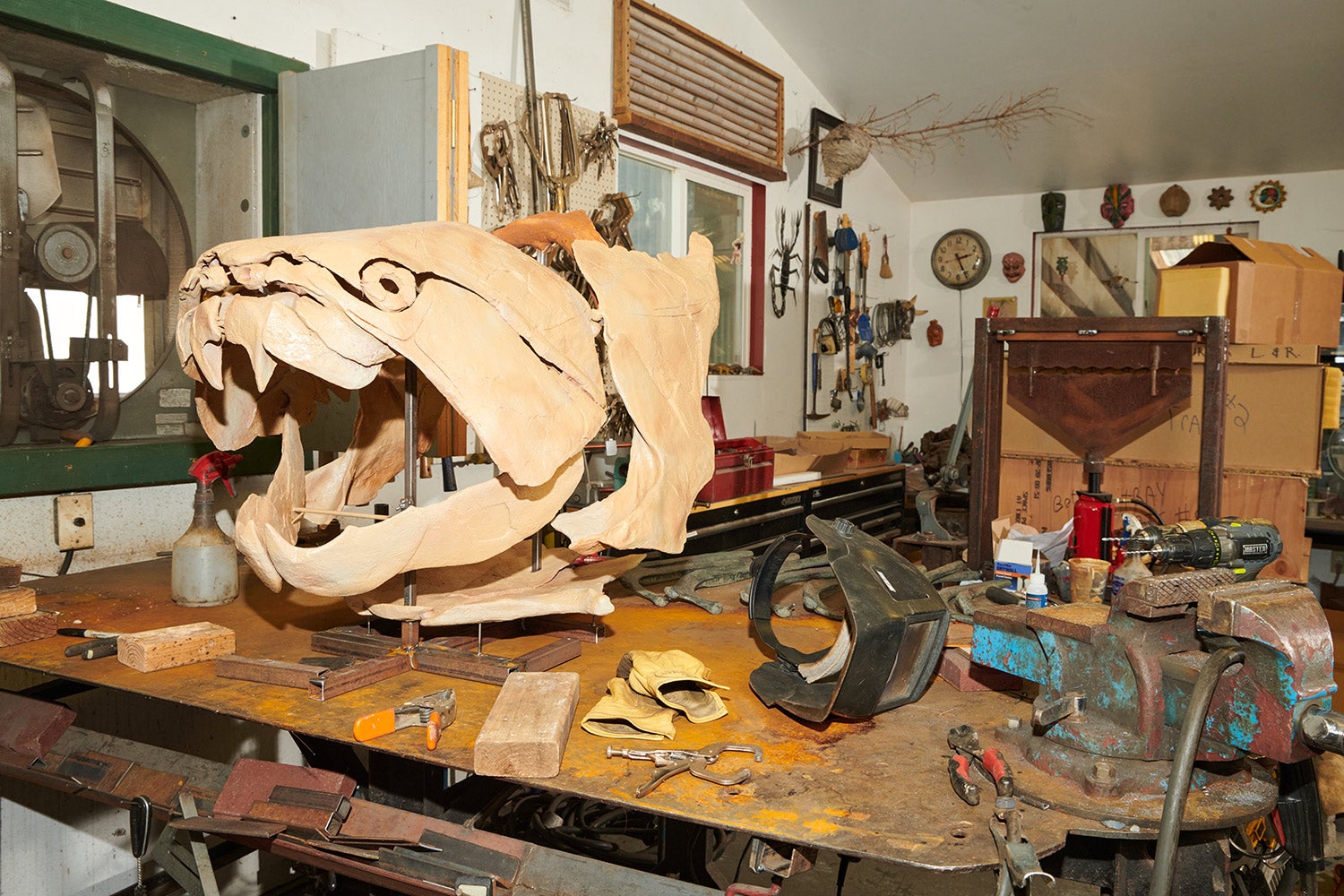 replica head of large, ancient fish sits on workshop table