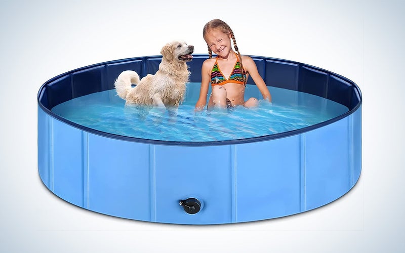Amazon dog pool