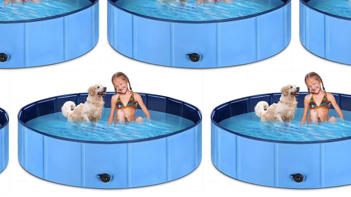 Amazon dog pool deal pattern