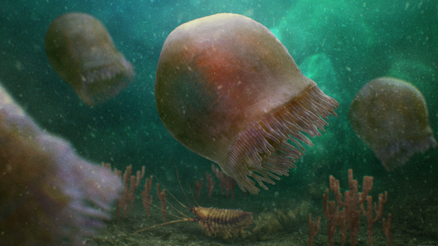 Artistic reconstruction of a group of Burgessomedusa phasmiformis swimming in the Cambrian sea.