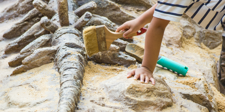 Why kids make the best amateur fossil hunters