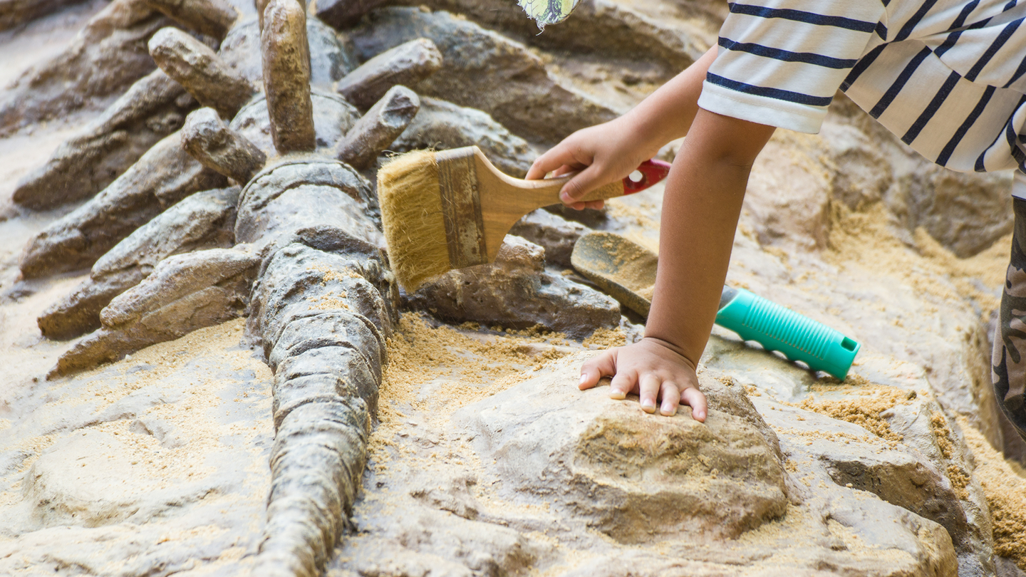 a child exploring dinosaur bones