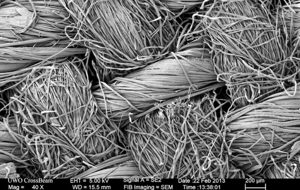 Fabric fibers under magnification. In greyscale.