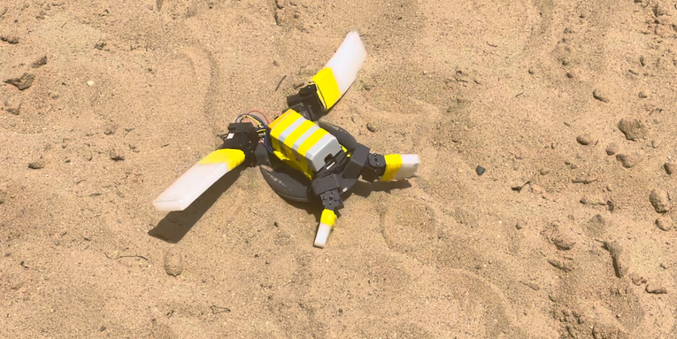 This waddling robot could guide baby turtles to the sea